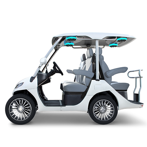 TARA T3 2+2 GOLF CART