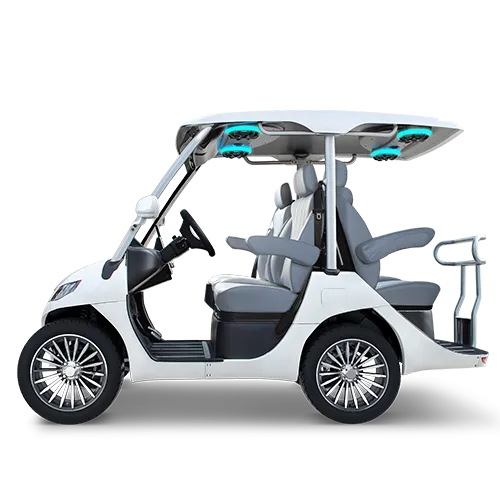 TARA T3 2+2 GOLF CART