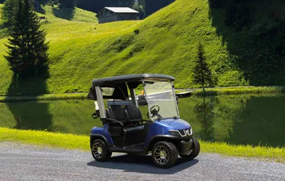 What are the components of an electric golf cart?