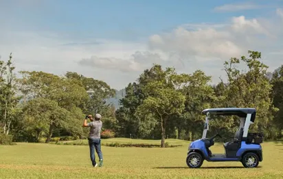 Reclaiming Joy: Fighting Depression with Golf Cart Therapy