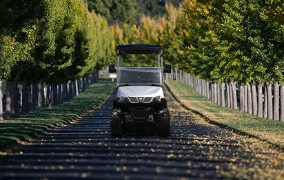 Golf Cart: The Perfect Companion for Fall Outings