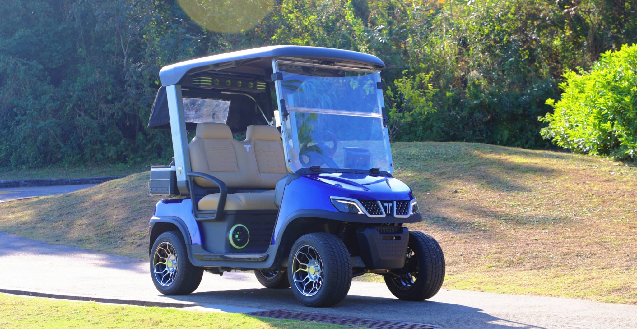TARA Neighborhood Electric Vehicles as Running Buggy Alternative