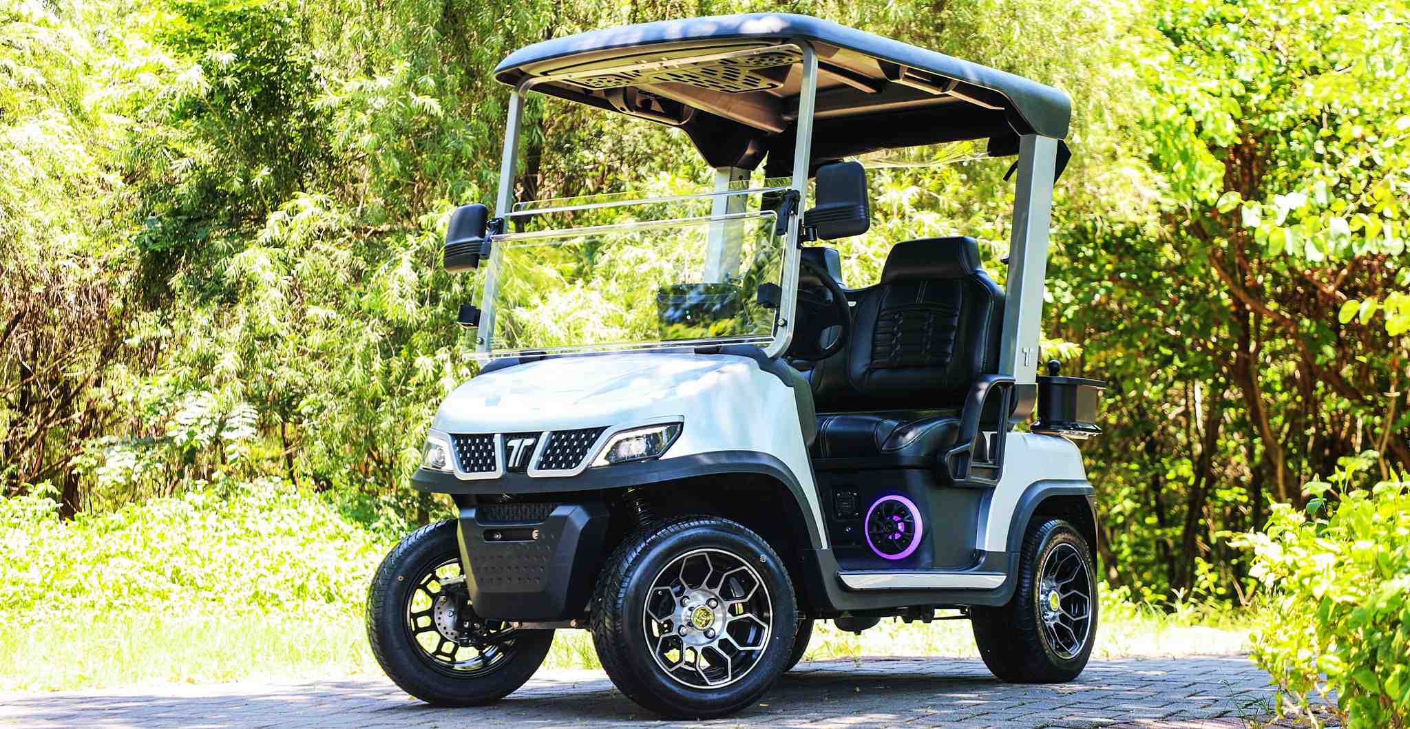 Tara Electric Disc Golf Cart on Course