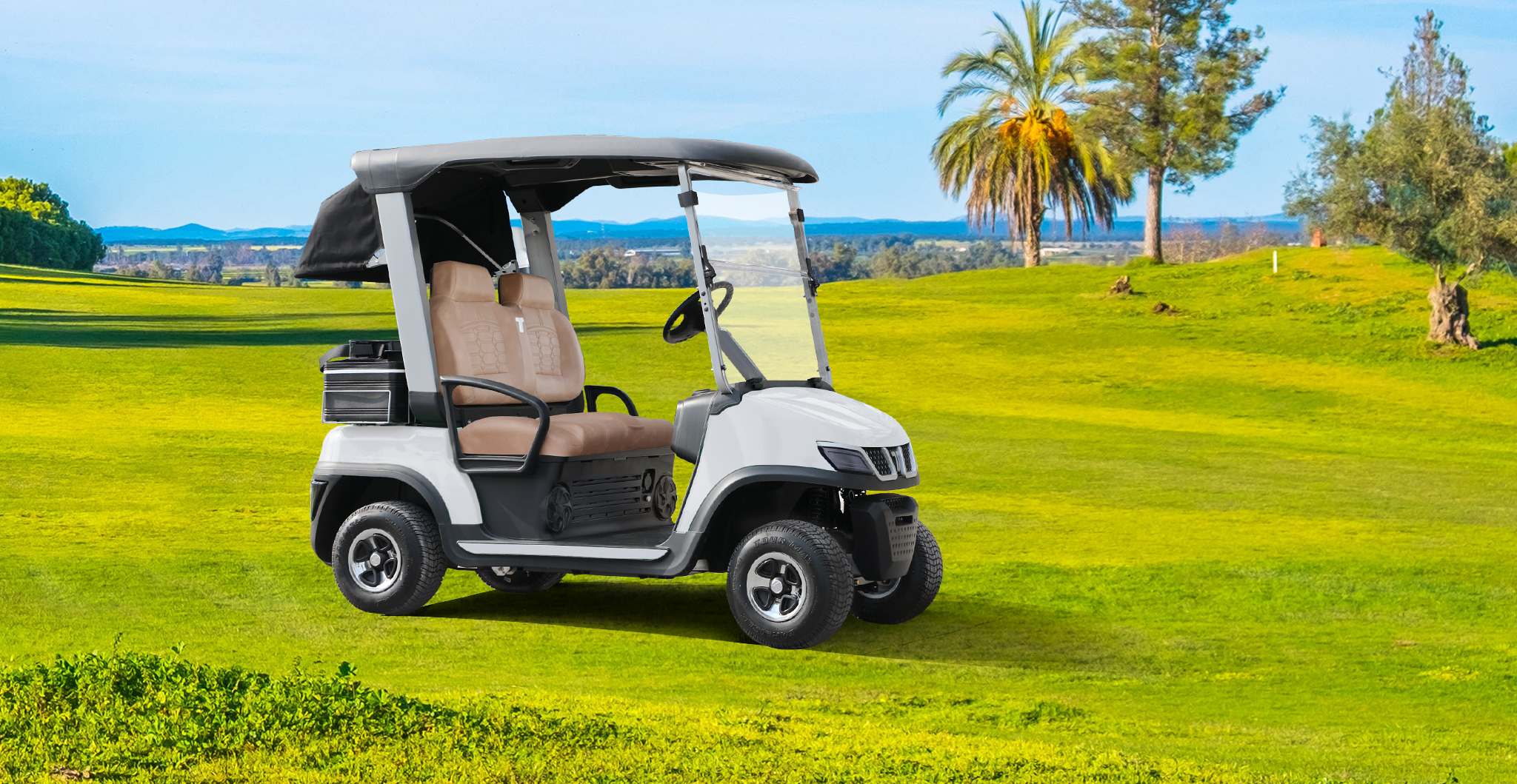 Custom golf buggy seat for personalized style