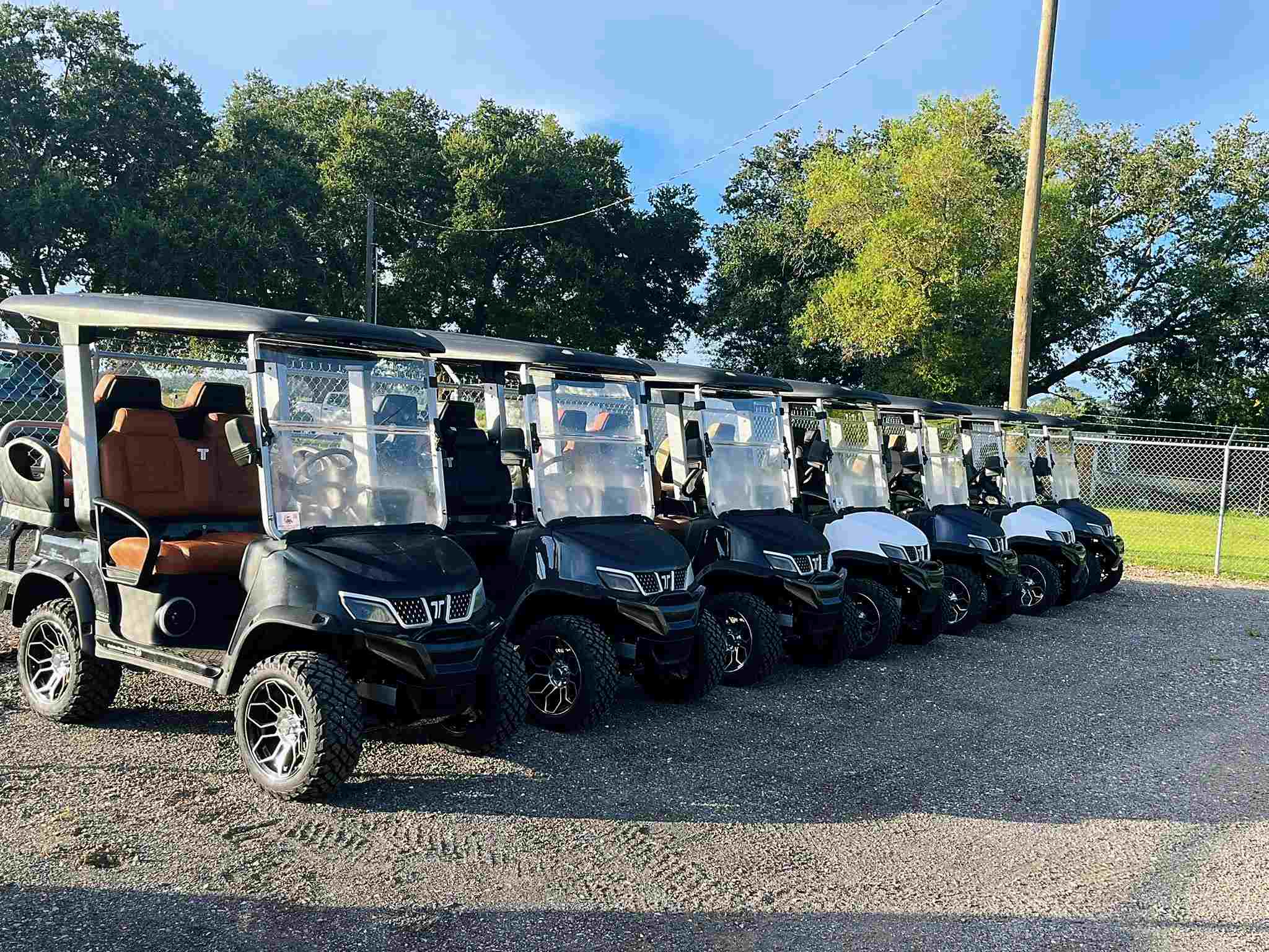 New Golf Carts Fleet on Golf Course