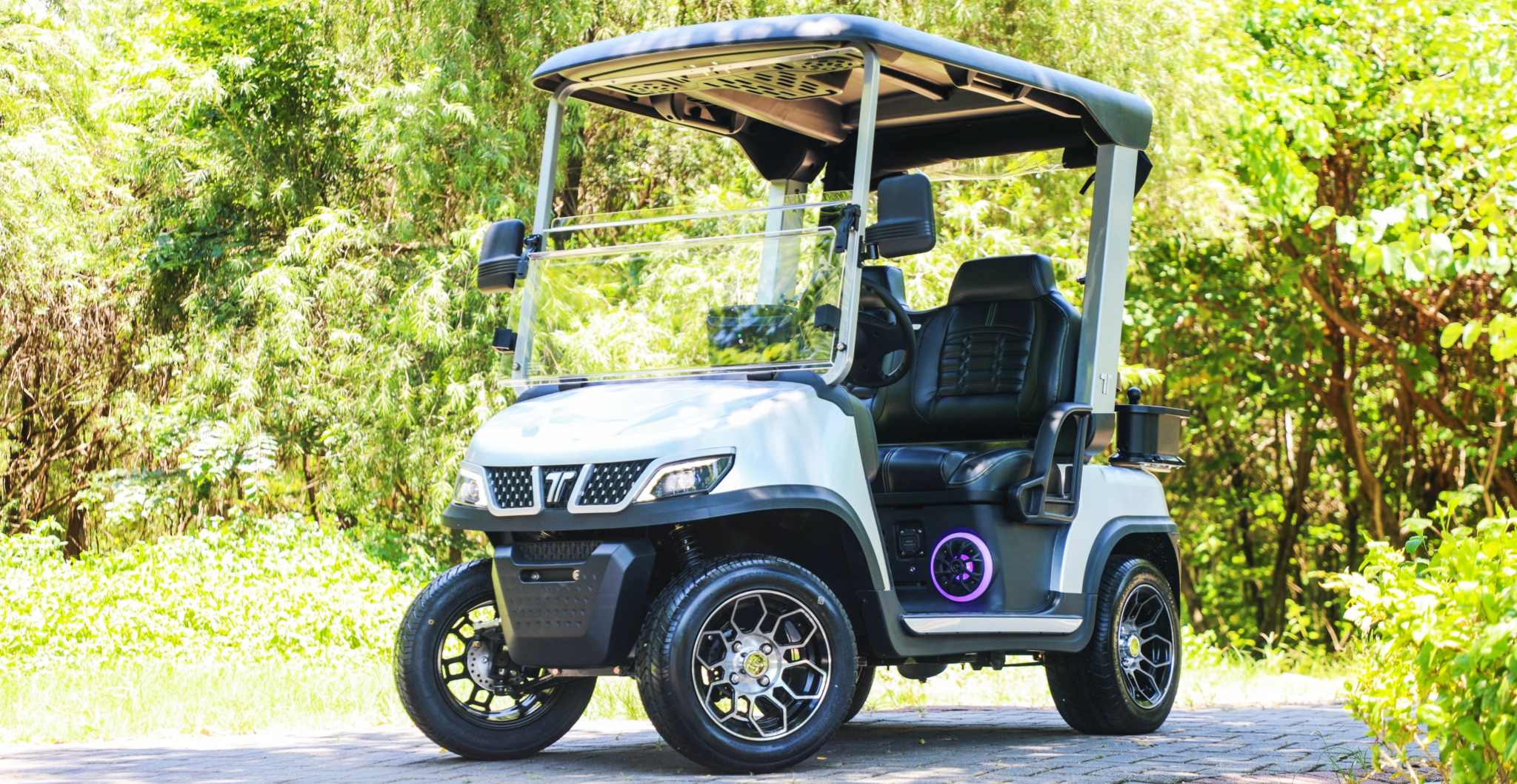 TARA Neighborhood Electric Vehicles Lighting System