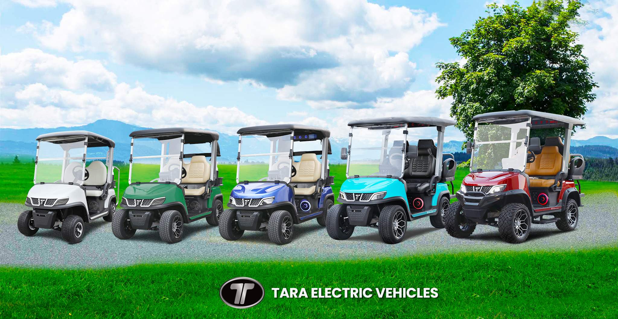 TARA LSV Vehicle for Community Use