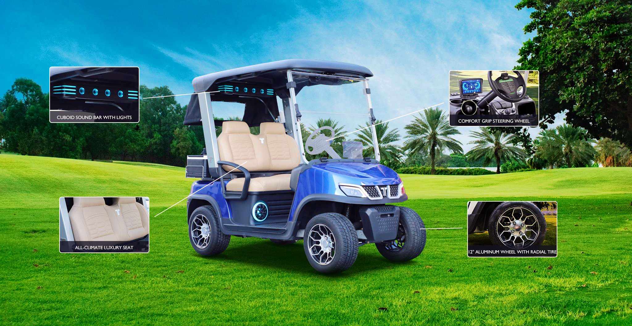 Two Seat Electric Car for Resort and Golf Use