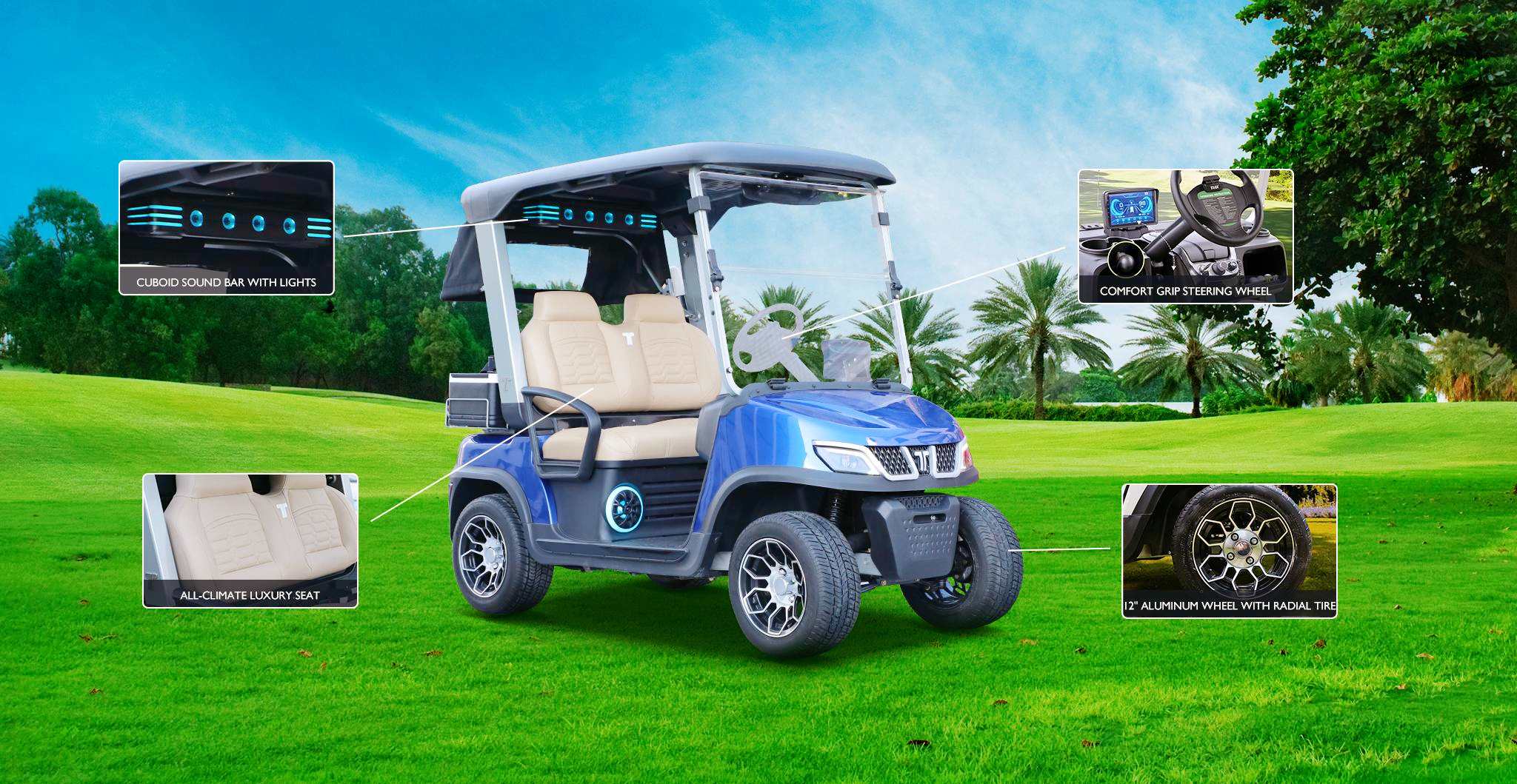 Low Price Golf Carts by Tara