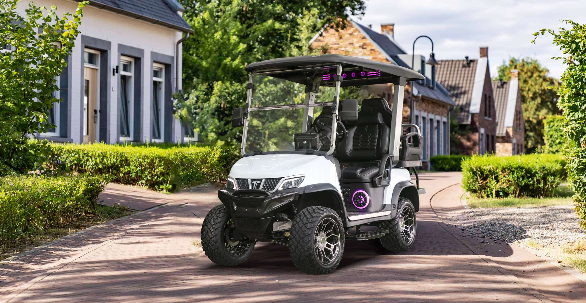 TARA Neighborhood Electric Vehicles Powered by Electric Motor