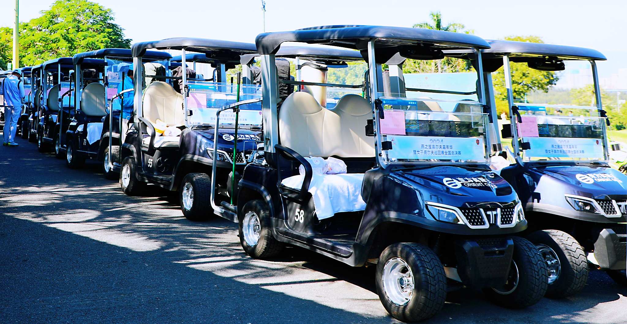 Tara Electric Golf Car Fleet for Resorts
