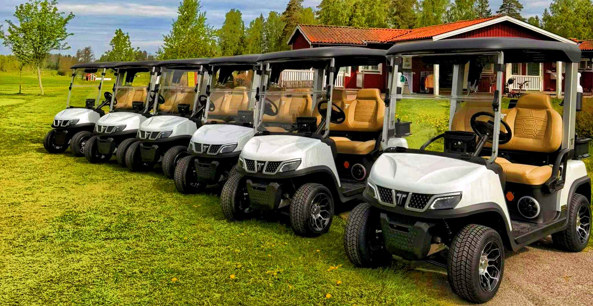 tara-vs-denago-golf-cart