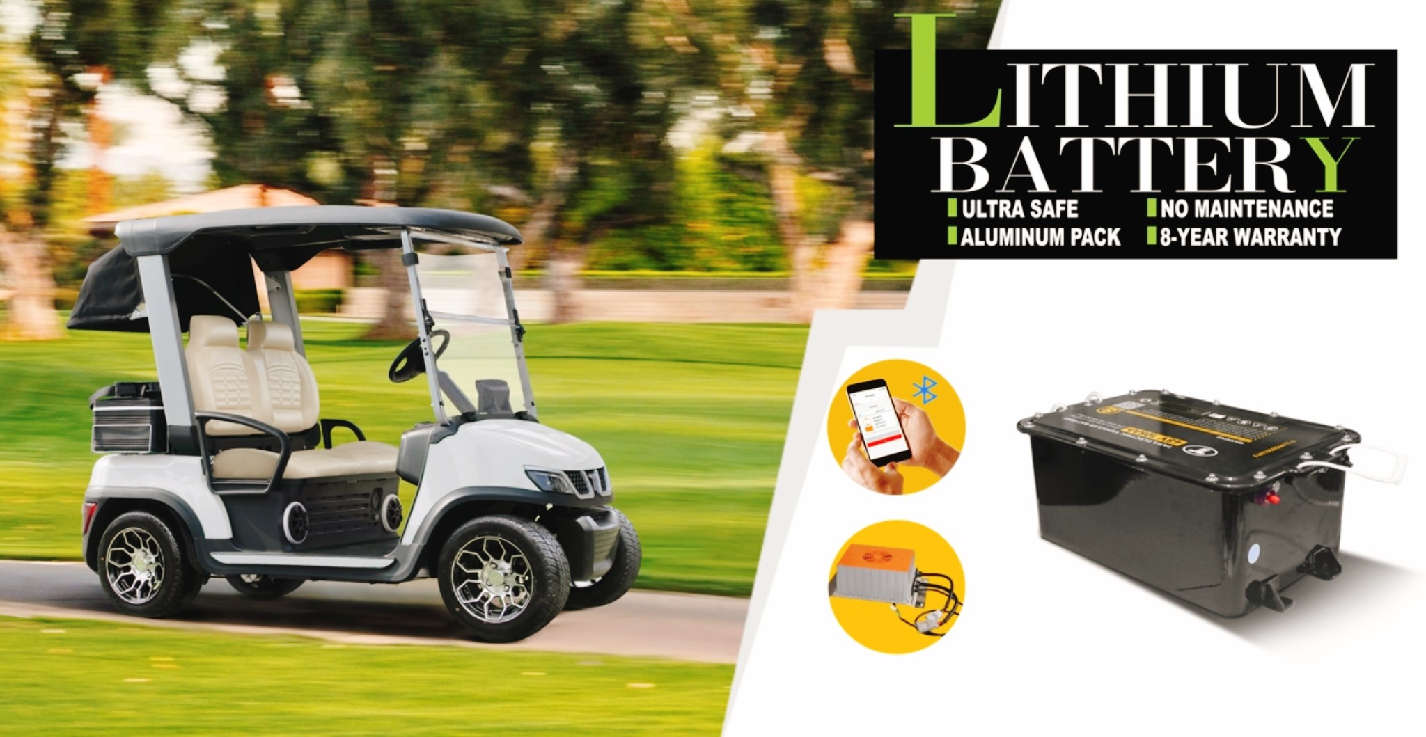 TARA Neighborhood Electric Vehicles Repair Solutions