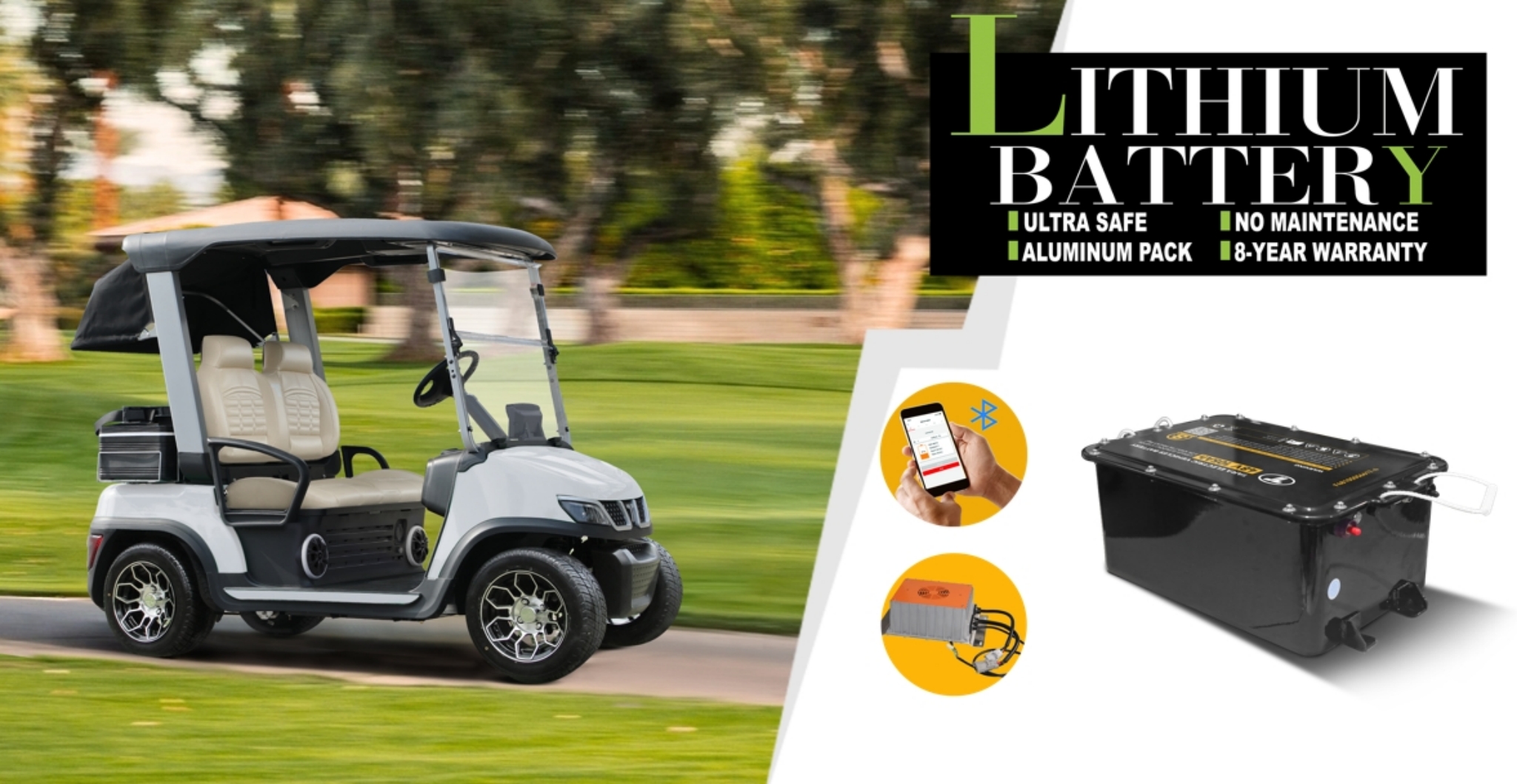 Tara golf cart with lithium battery