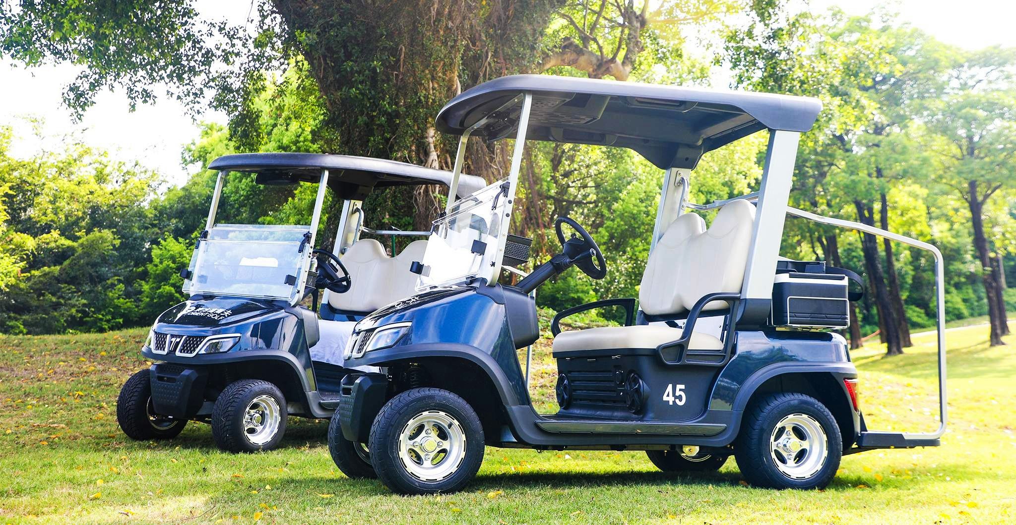 Aluminum frame structure on a Tara electric golf cart
