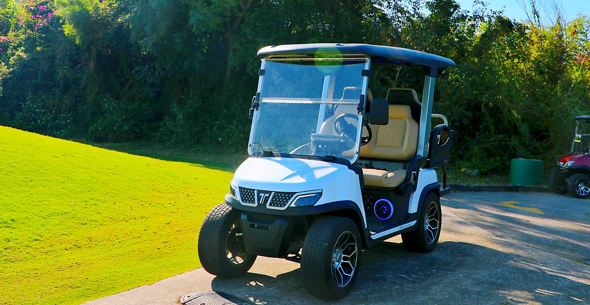 Tara 4 Seat Electric Golf Cart Alternative to Go Karts