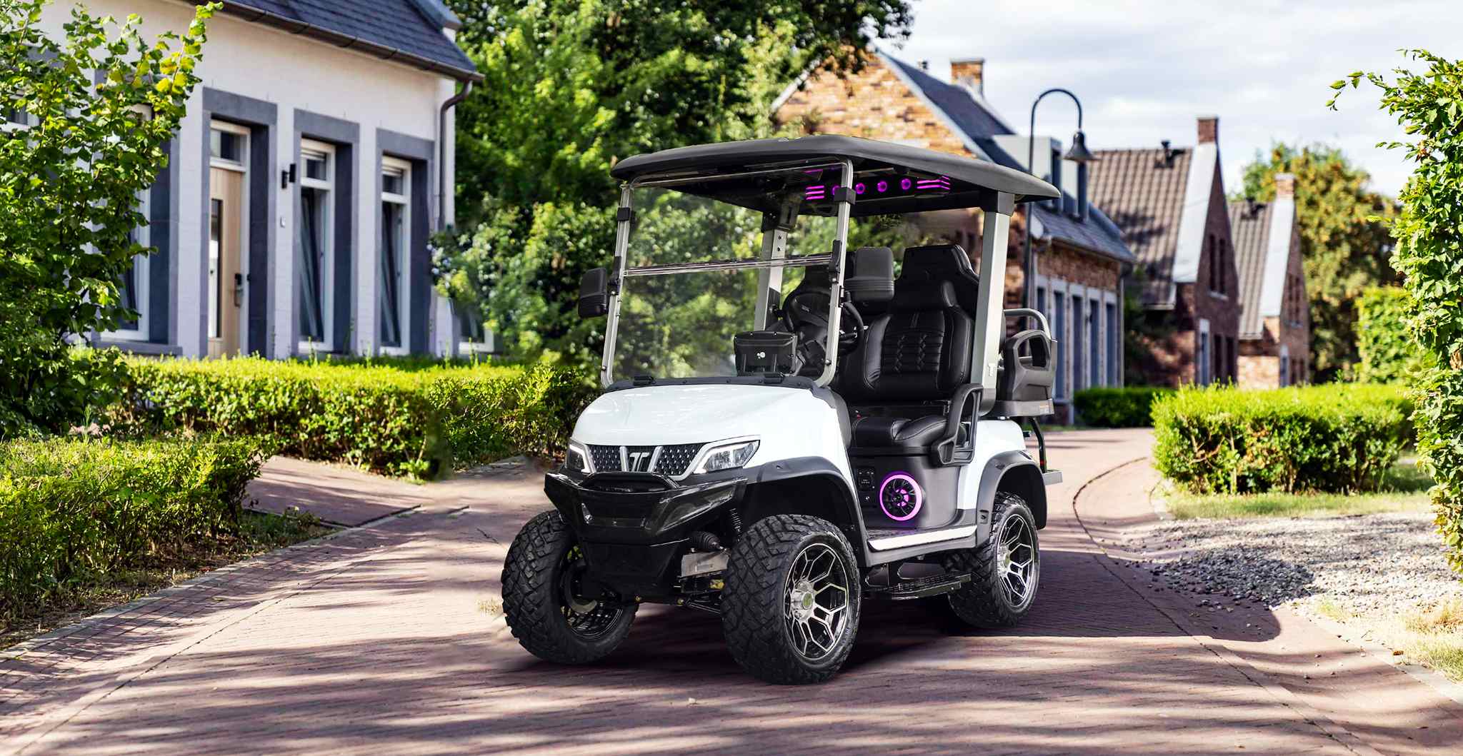 nev-golf-cart-neighborhood-electric-vehicle