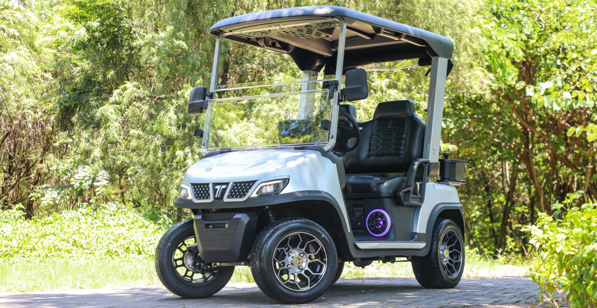 tara golf cart news01