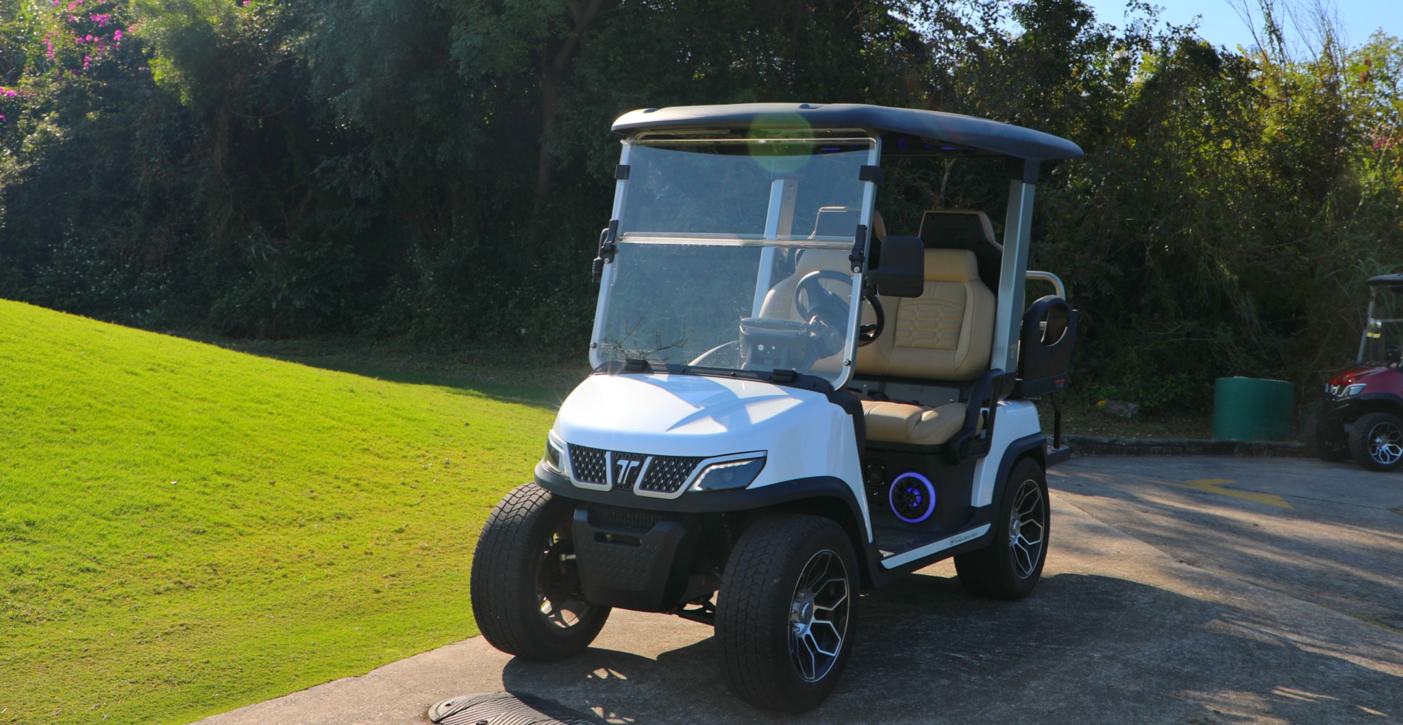 Electric Golf Cart vs. Fuel  Golf Cart