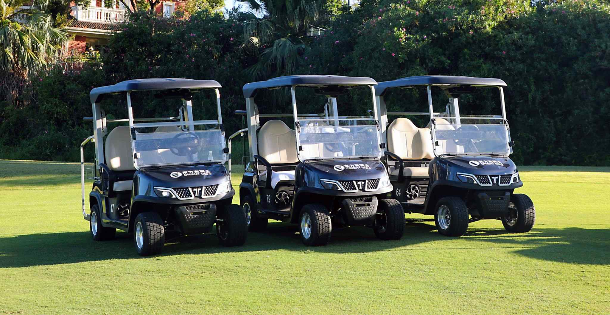 2-passenger-golf-carts-electric-fleet