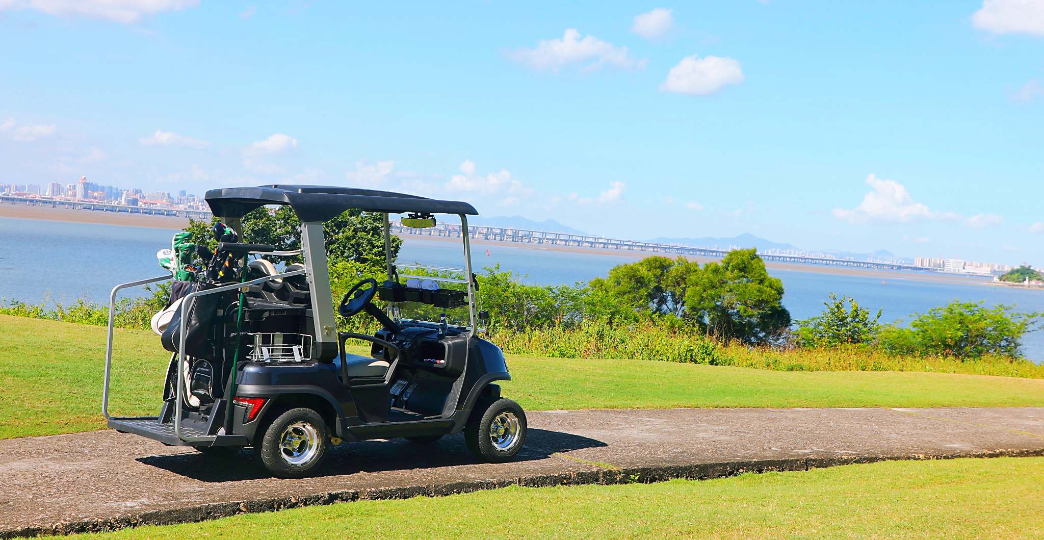 Tara 2 Person Personal Golf Cart