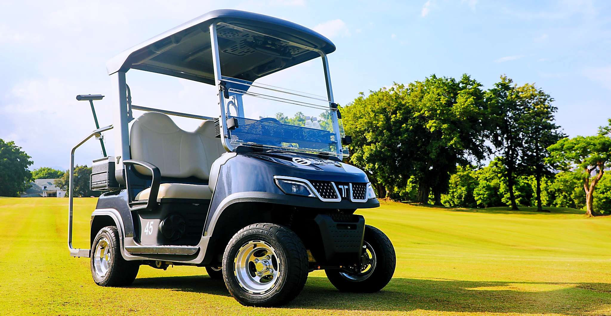 TARA Neighborhood Electric Vehicles Service – Professional Maintenance and Inspection