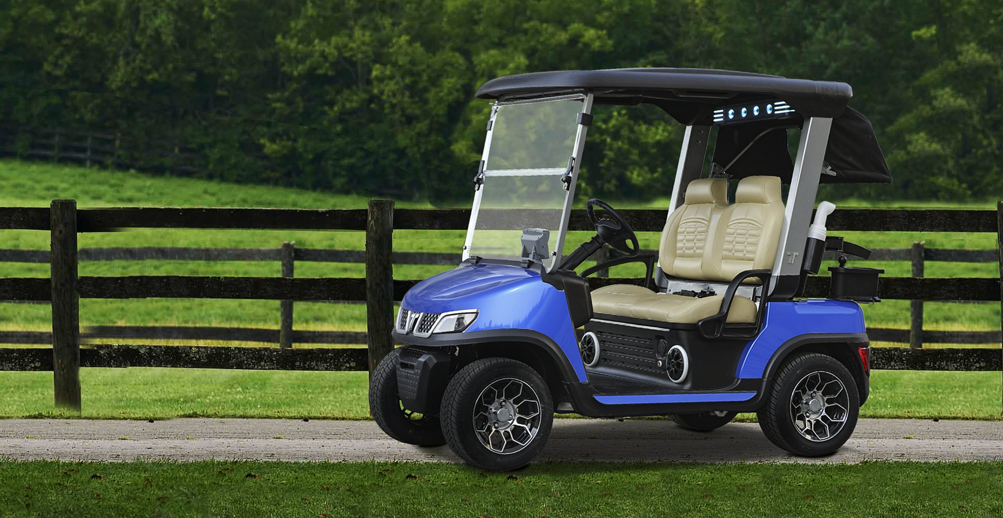 Tara Electric Golf Cart Equipped with Premium Sound Bar