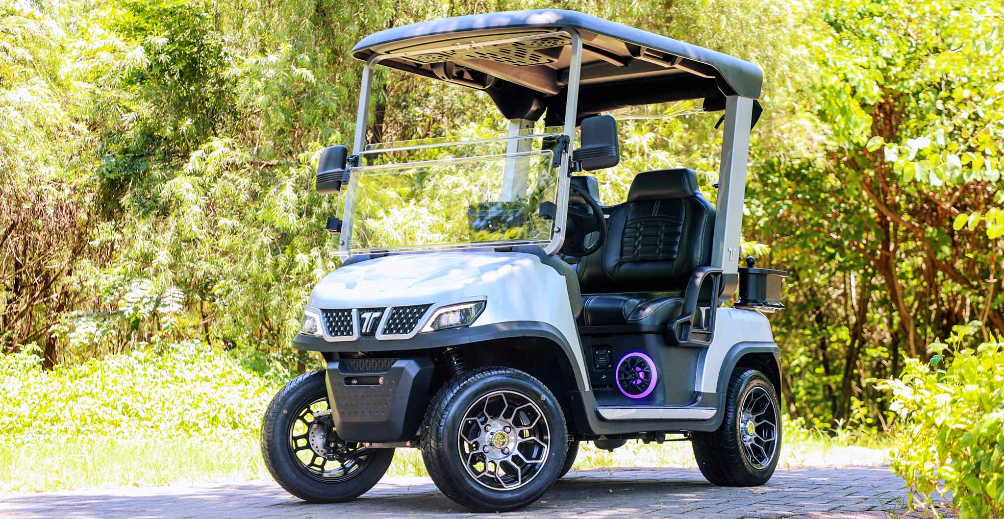Street Legal LSV Golf Cart