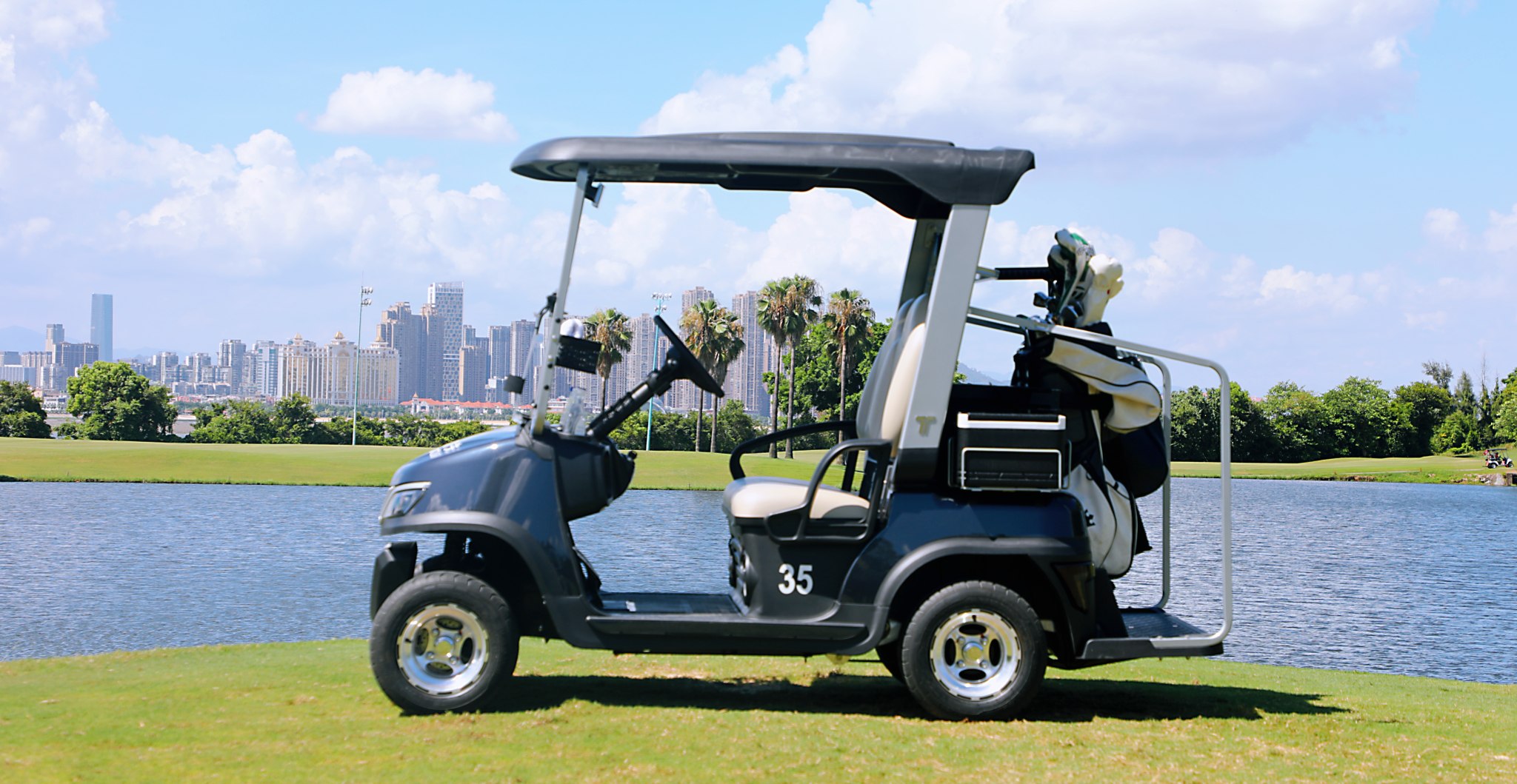 TARA Neighborhood Electric Vehicles on 18 Hole Golf Course