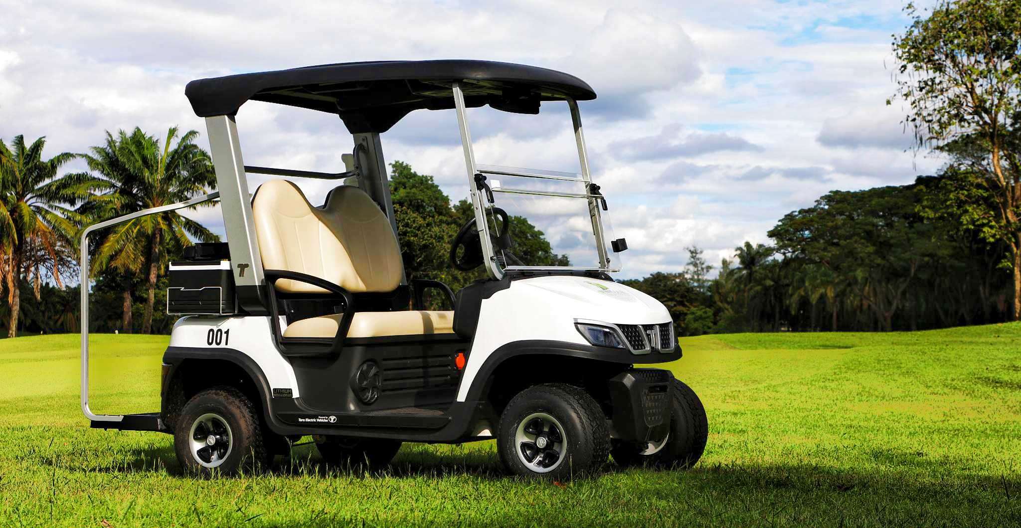 lithium-2-seater-electric-golf-cart-golf-club-use