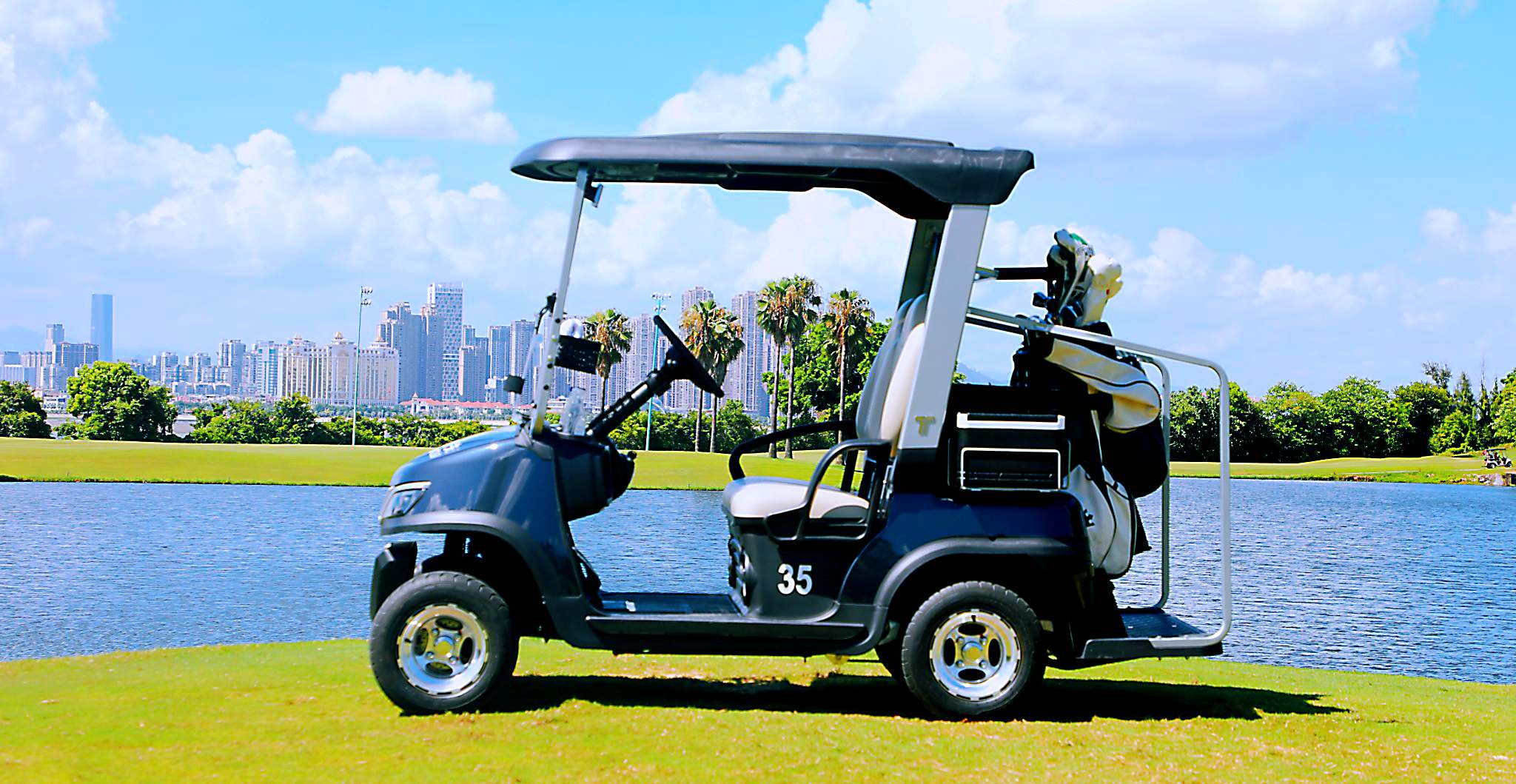 Beach Golf Cart for Coastal Living