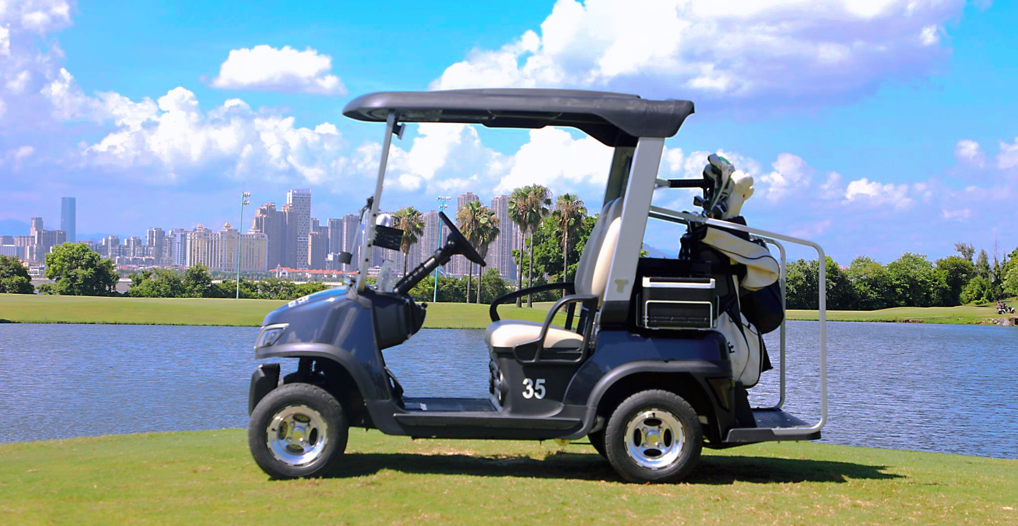 Eco-Friendly TARA Neighborhood Electric Vehicles Deals
