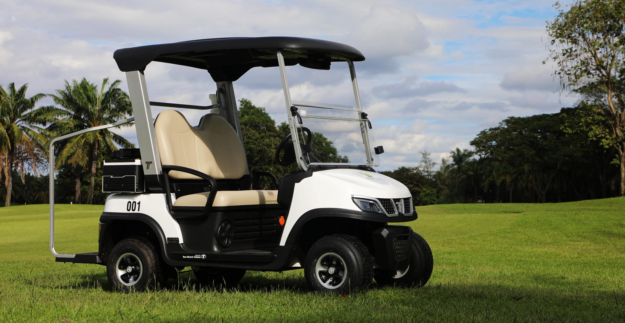 TARA Neighborhood Electric Vehicles Fleet Ready for Delivery