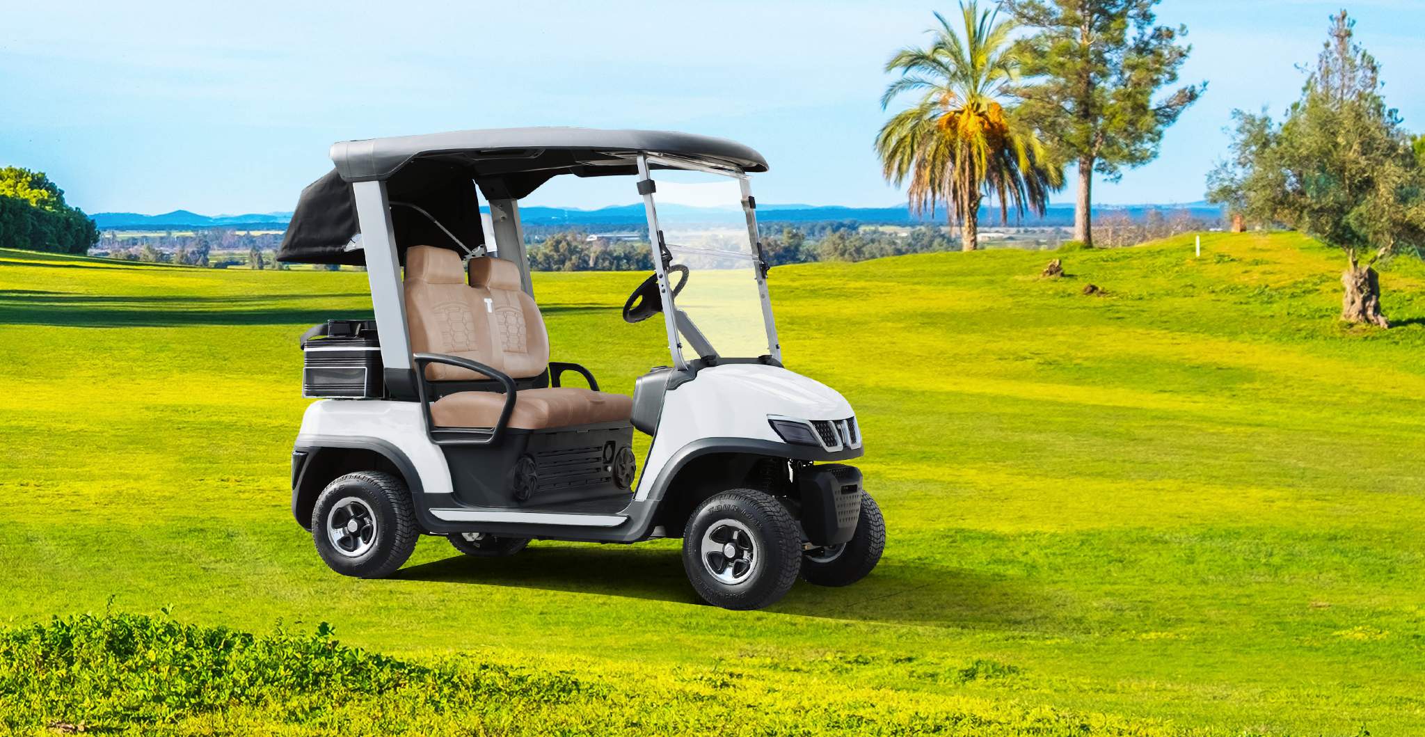 TARA Neighborhood Electric Vehicles Electric Car Builder Options
