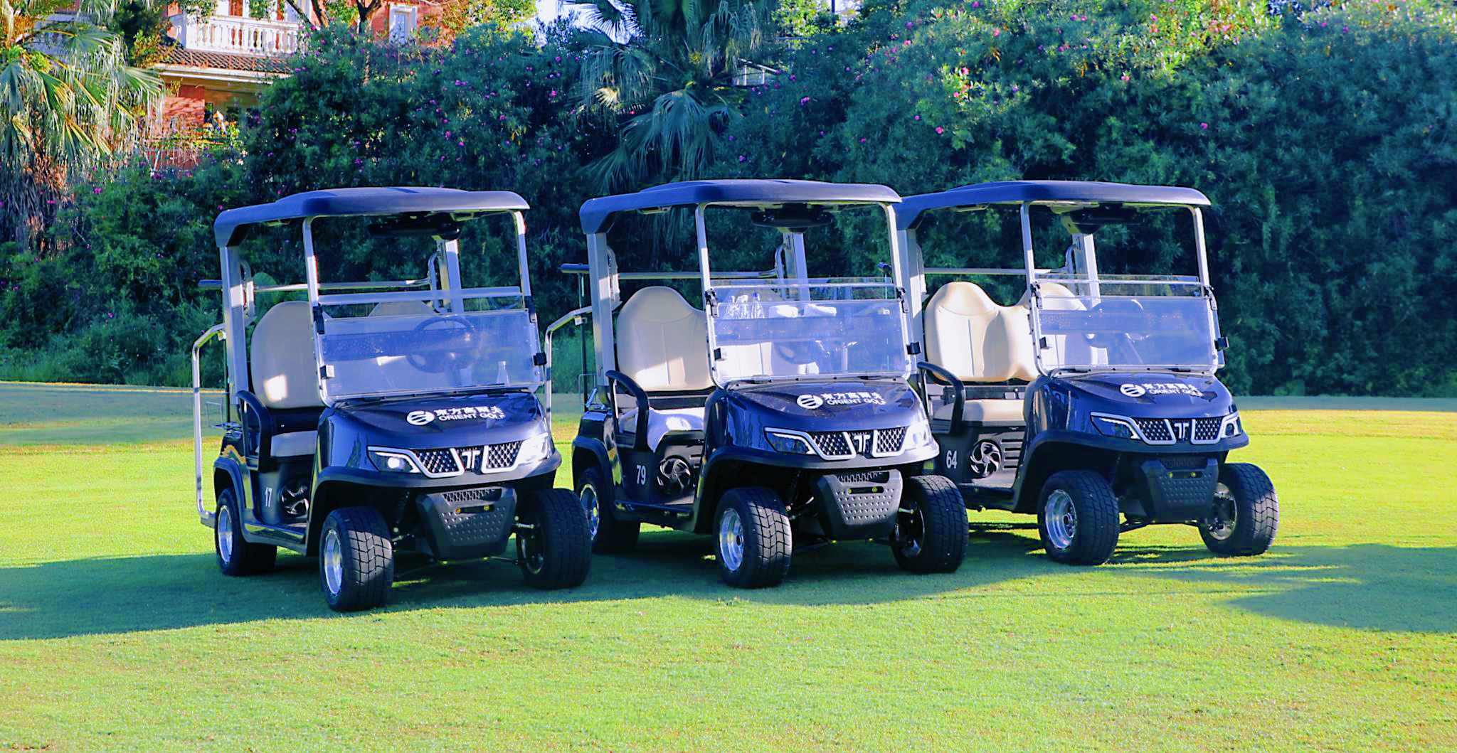 TARA Neighborhood Electric Vehicles Fleet for Rental Business