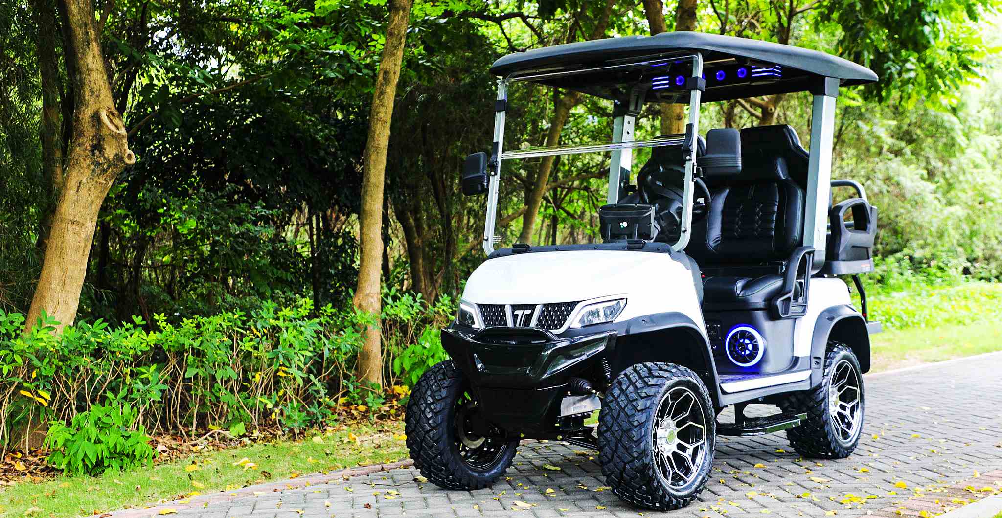 tara-4-person-golf-cart