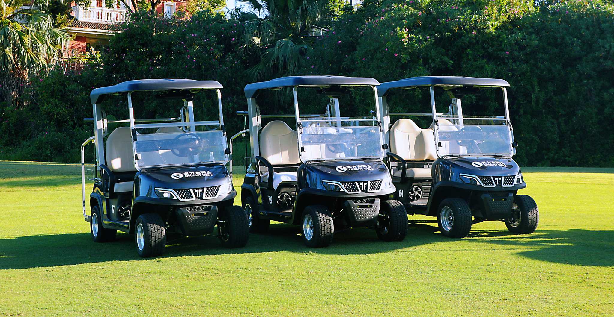 TARA Small Golf Car on Fairway