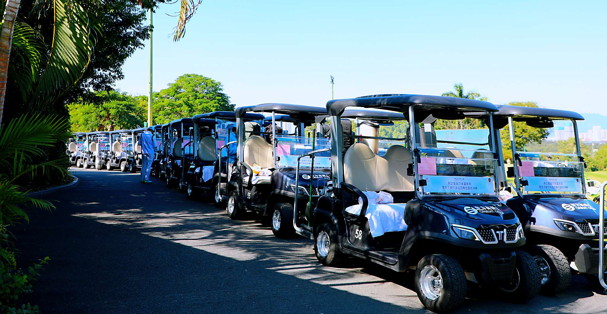 TARA Neighborhood Electric Vehicles Store – Premium Electric Golf Carts for Sale