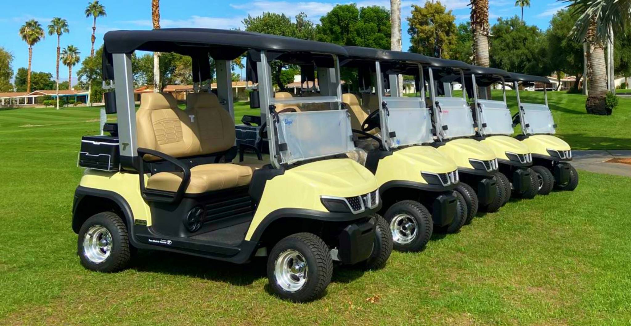 Lithium Golf Cart Fleet Management