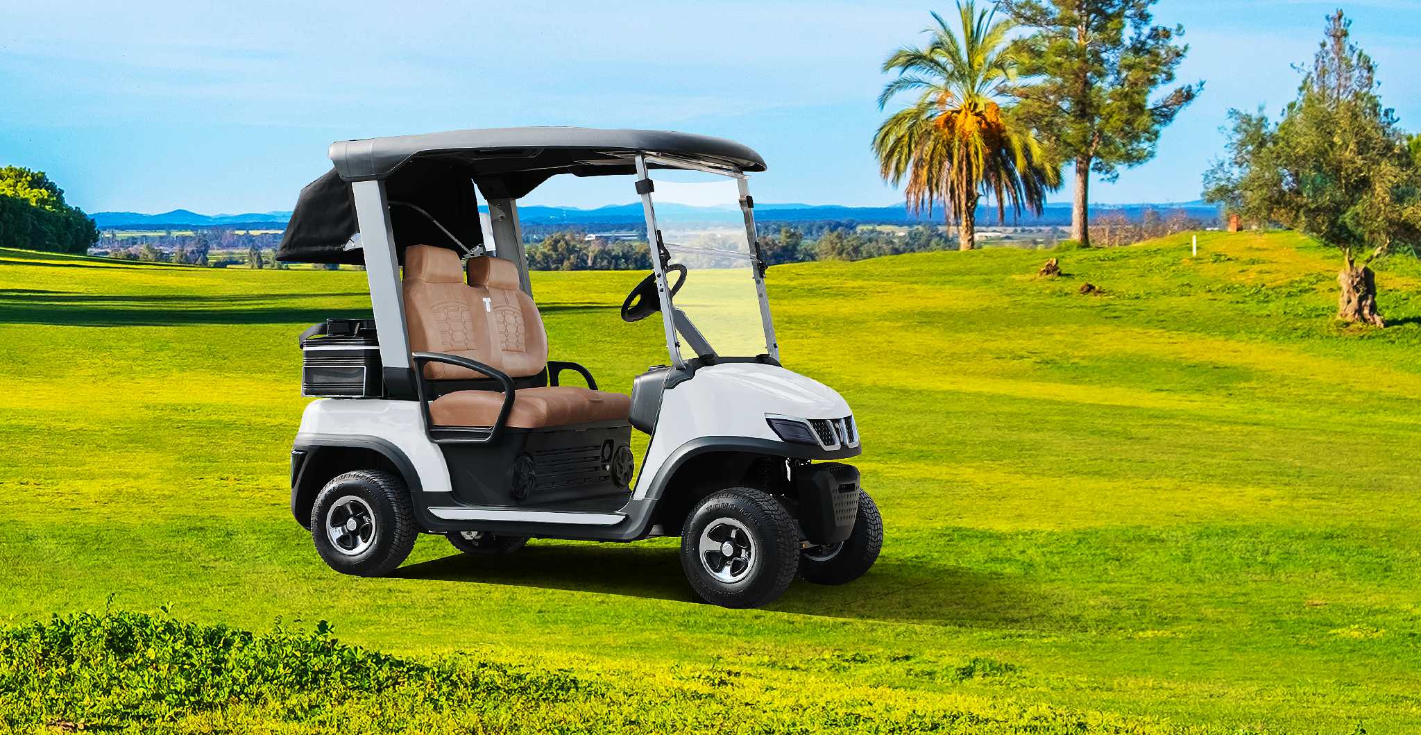 4 Wheel Drive Electric Golf Cart on Golf Course