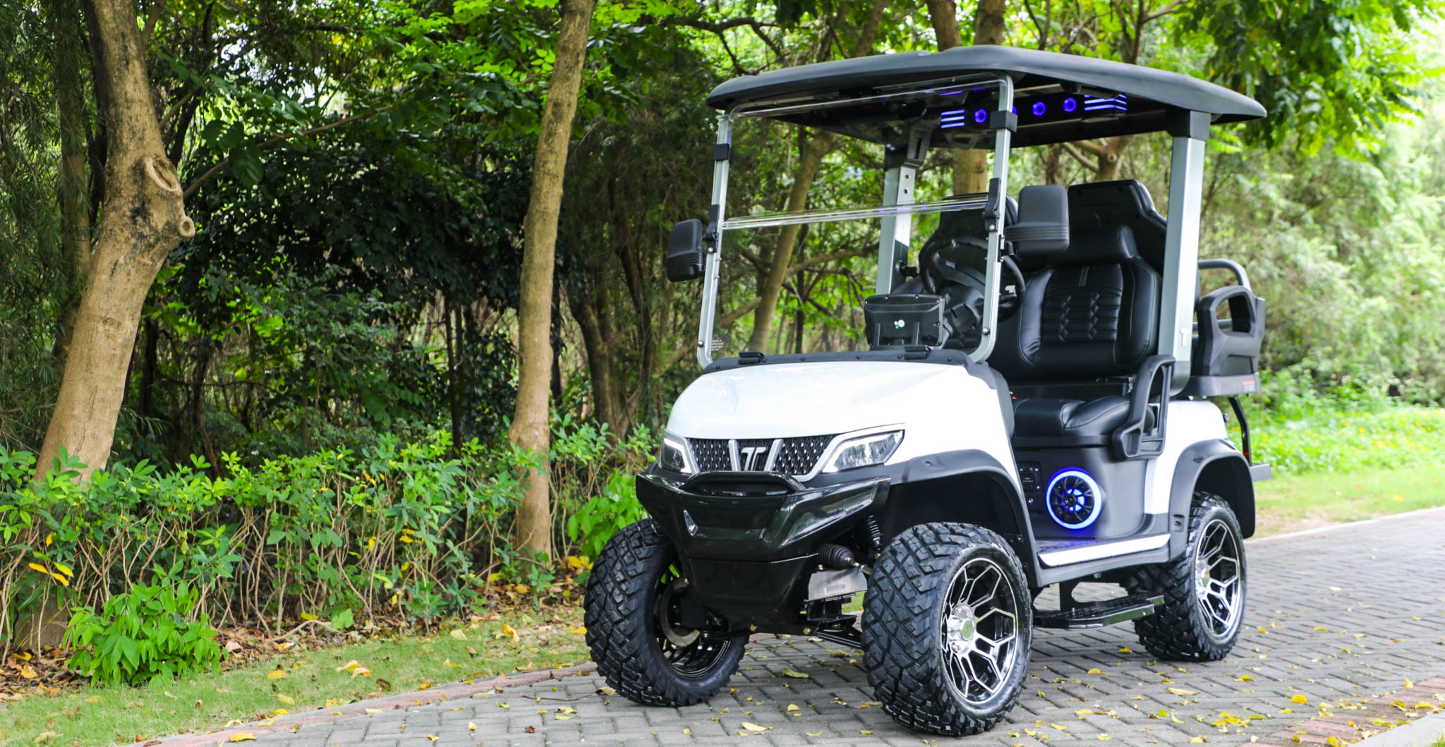 tara golf cart lsv