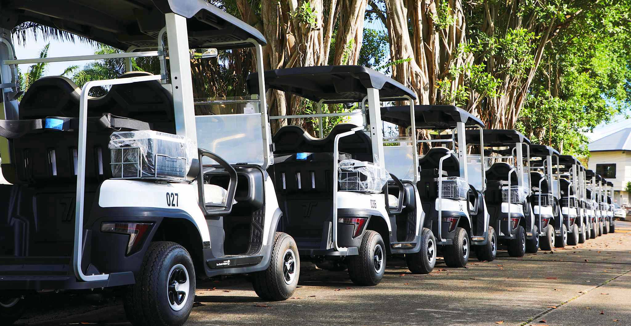 tara-lithium-golf-cart-fleet