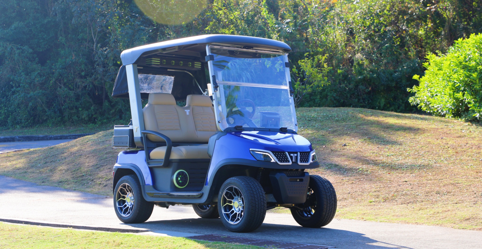 tara golf cart for golf course