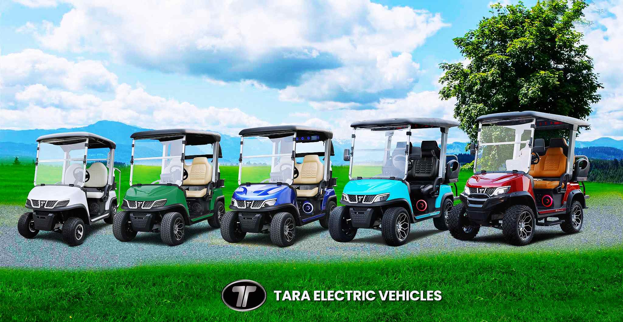 TARA Neighborhood Electric Vehicles With Lithium Battery