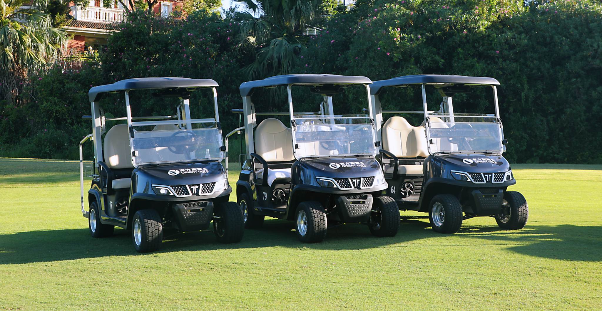 TARA Neighborhood Electric Vehicles Fleet on 9 Hole Golf Course