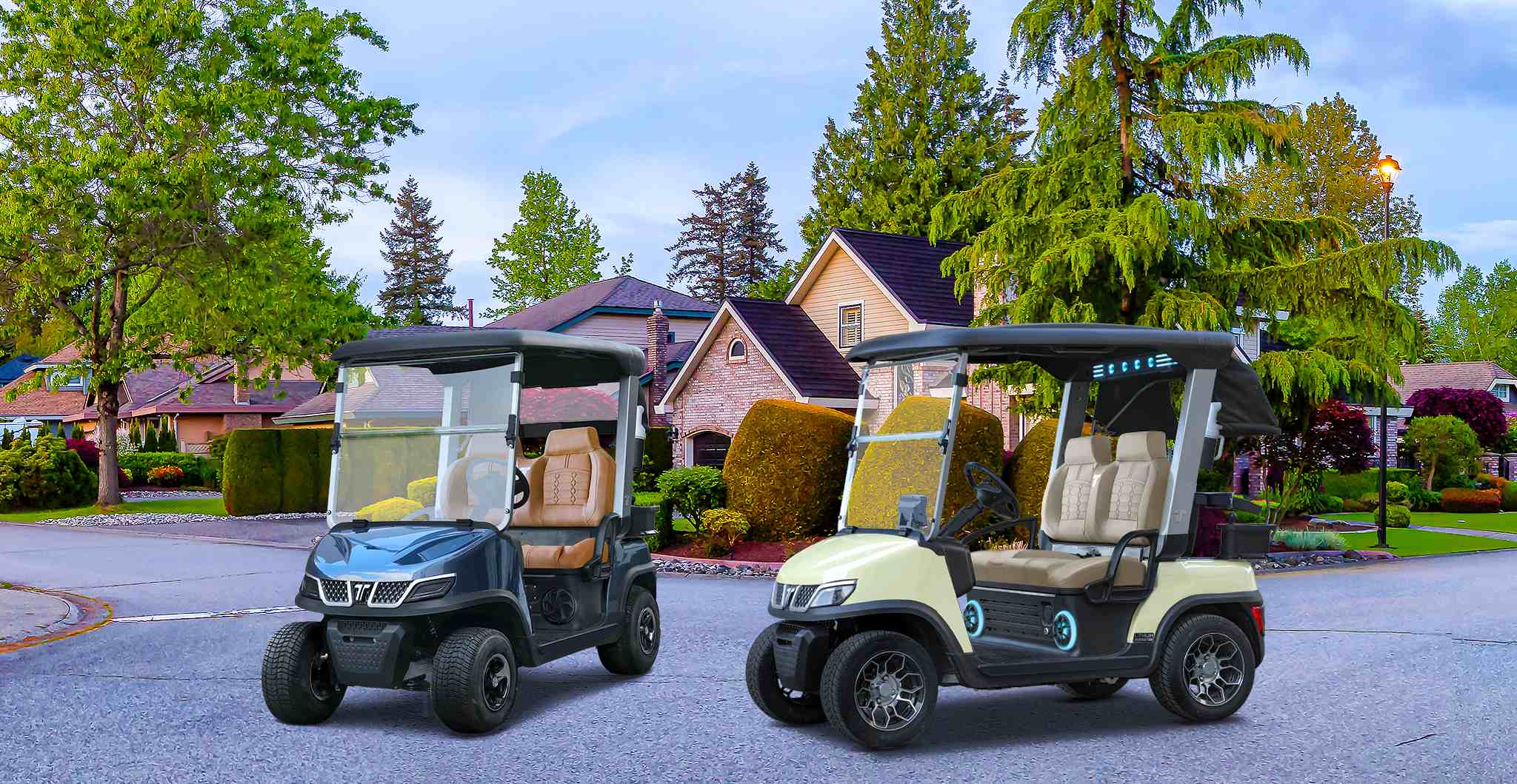 inexpensive-golf-carts-electric-tara