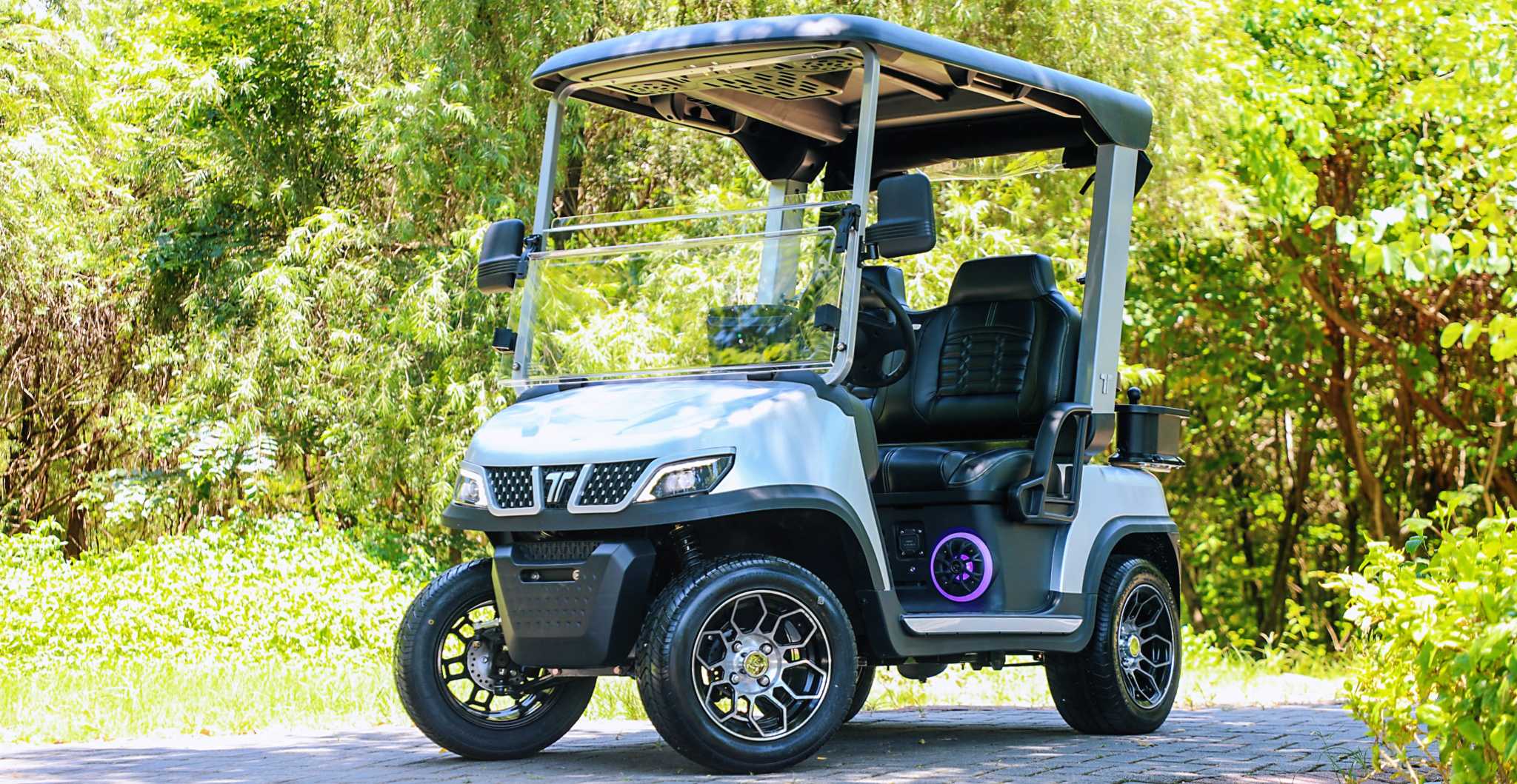 Tara Lithium Golf Cart with 48V Battery