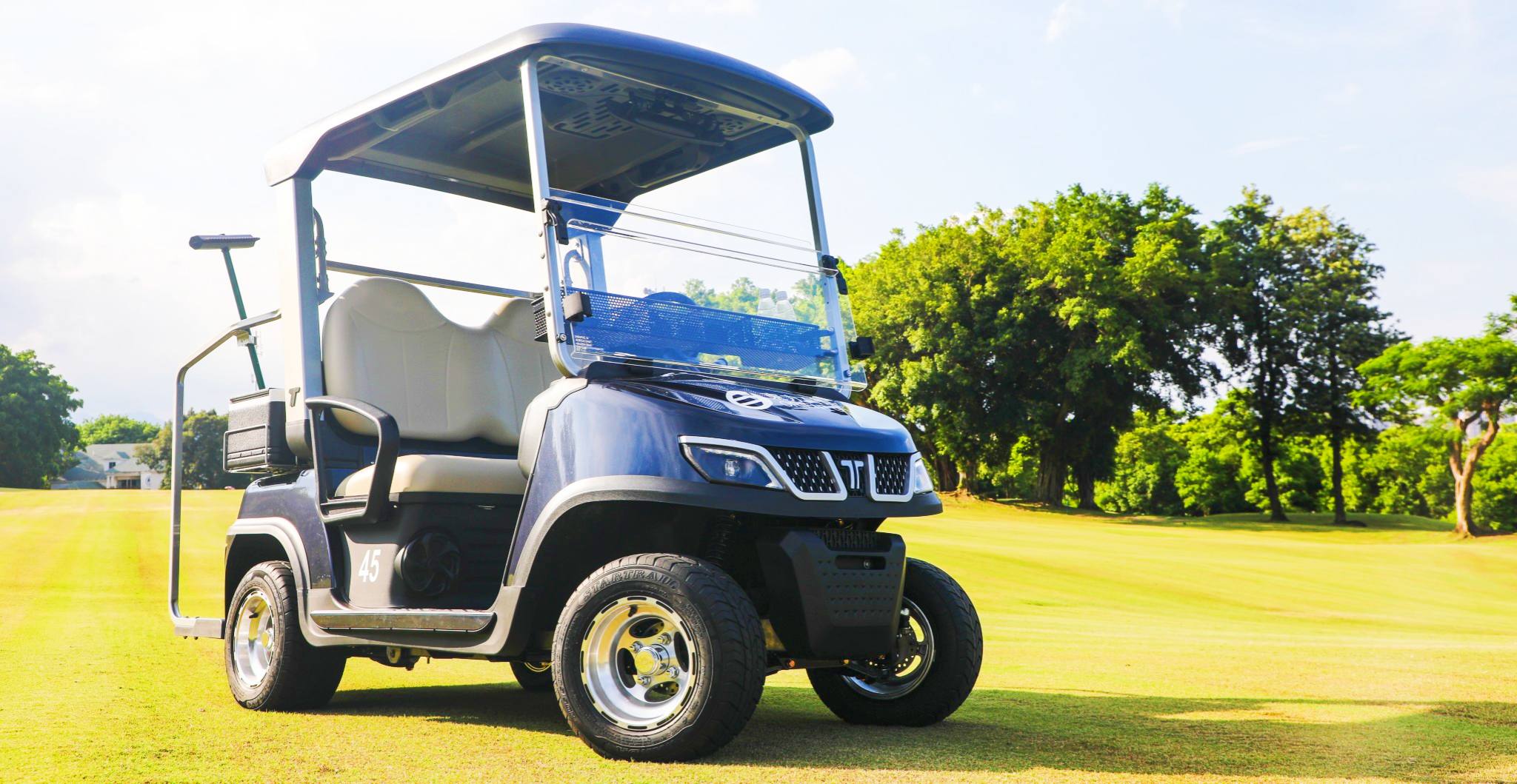 Custom Fancy Golf Cart by Tara Manufacturer