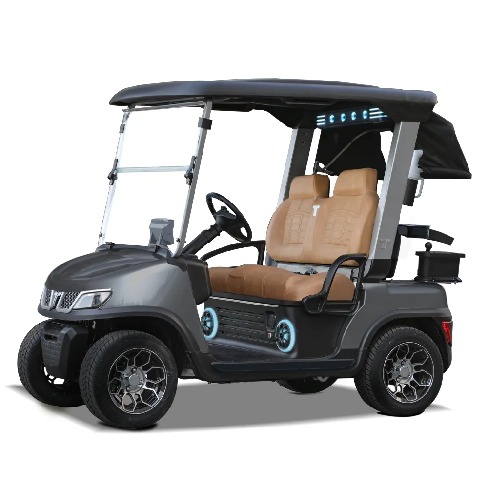 Gray Tara Spirit Plus Golf Cart with Modern Styling and Lithium Power