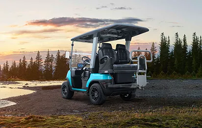 Tara Roadster 2+2: Bridging the Gap Between Golf Carts and Urban Mobility